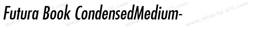 Futura Book CondensedMedium字体转换